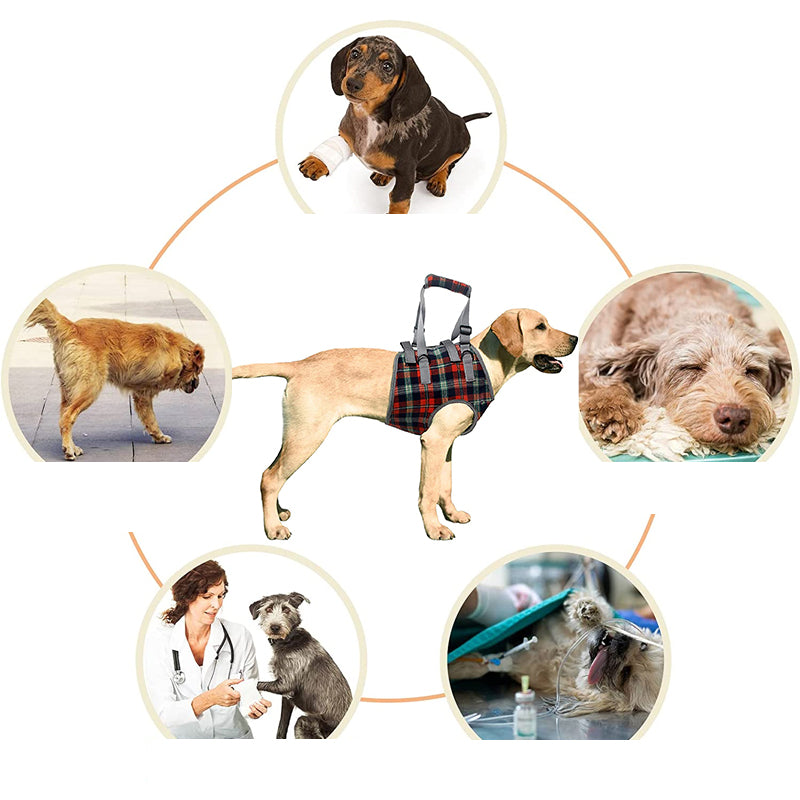 Steunharnas voor honden, helpt bij stabiliteit van voor- of achterpoten, ideaal voor oude honden.