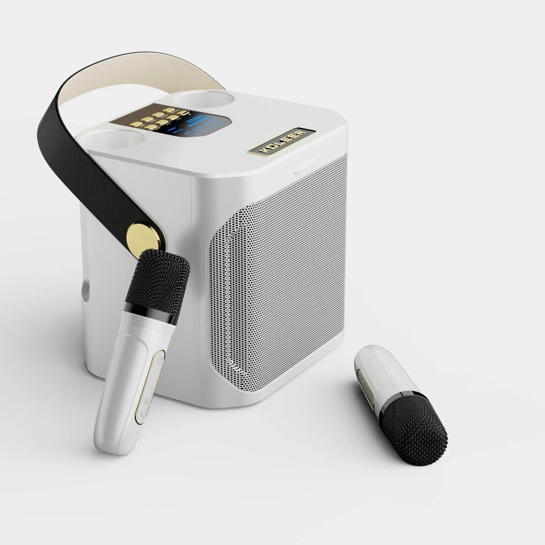 Veelzijdige karaoke boombox met Bluetooth, USB, AUX en twee draadloze microfoons voor connectiviteit.
