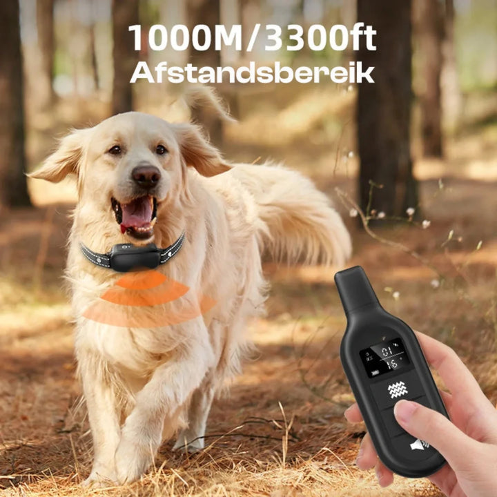 Verstelbare, waterdichte elektrische trainingshalsband voor honden, effectief voor gedragscorrectie en buitengebruik.