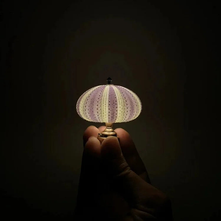 DIY zee-egel nachtlampje knutselset LumiUrchin. Maak je eigen sfeervolle verlichting met natuurlijke materialen.