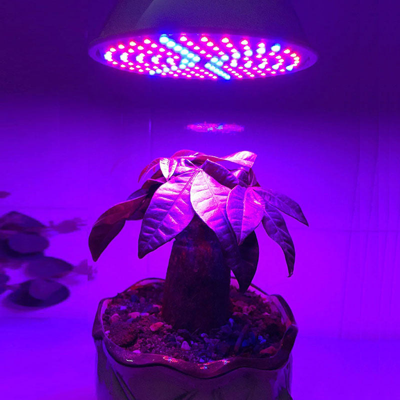 De fullspectrum LED groeilamp ondersteunt vitale groei en ontwikkeling van al uw kamerplanten.