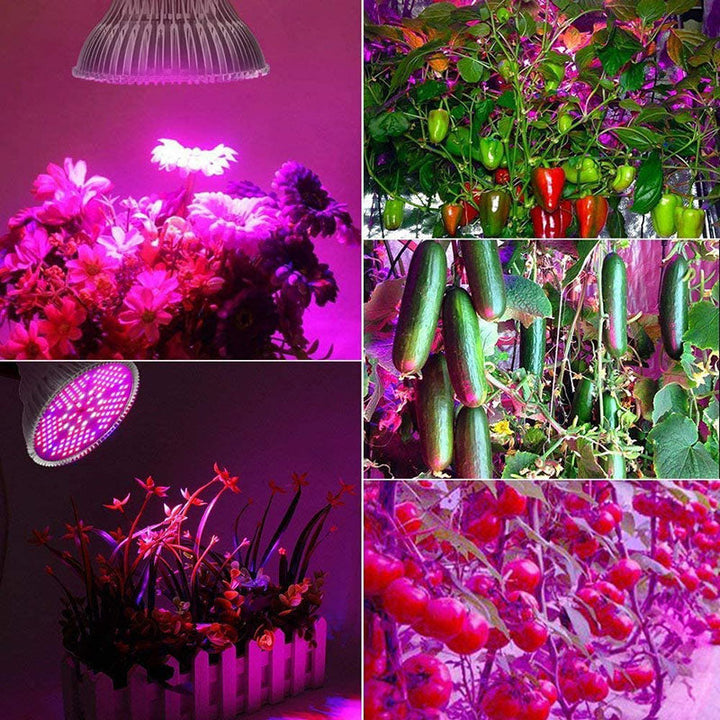 Compacte en effectieve LED plantengroeilamp voor thuisgebruik, kweken en huisdecoratie.