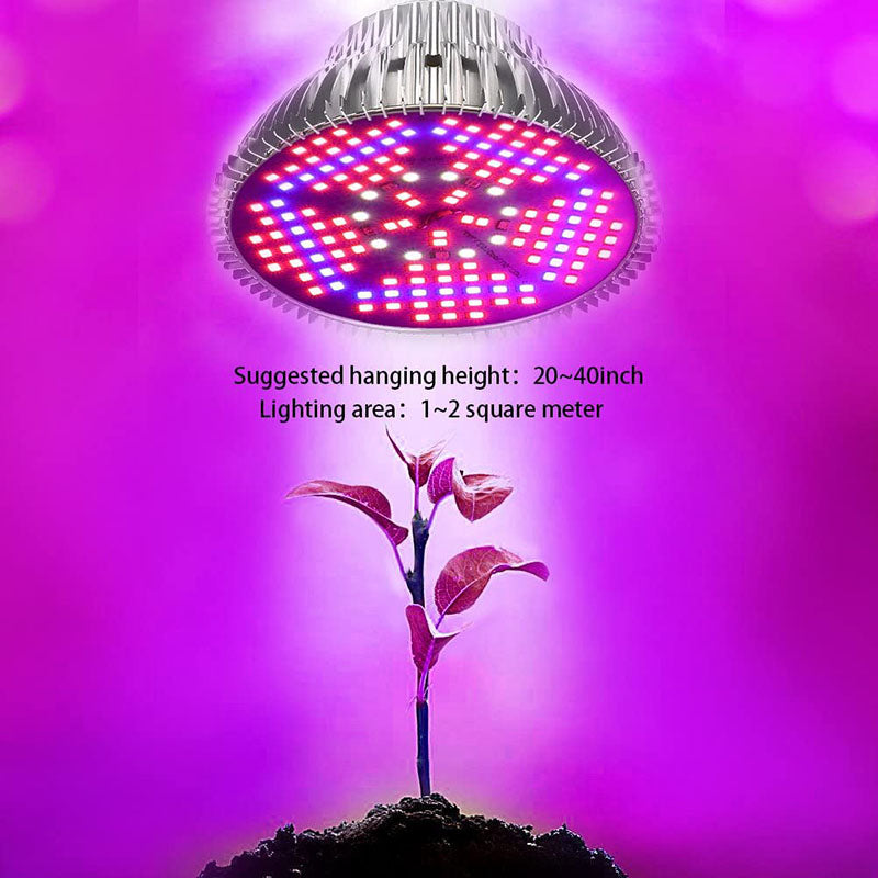 Een close-up van de fullspectrum LEDs van de plantengroeilamp, ontworpen voor binnen.