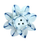 N - Wit met Blauwe uitloop