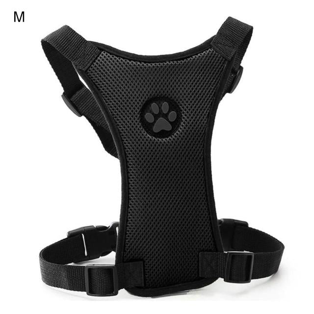 Verstelbaar PawSafe borsttuig met autogordel voor honden. Ademend mesh zorgt voor comfort tijdens ritten.