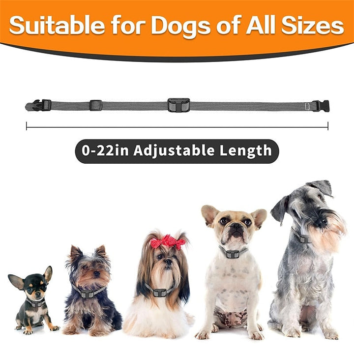 Oplaadbare waterdichte honden trainingshalsband, 400m bereik. Duurzame lichtgewicht halsband voor alle weersomstandigheden.