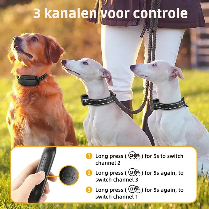 Oplaadbare trainingshalsband met afstandsbediening, essentieel hondenaccessoire voor consistente hondentraining.