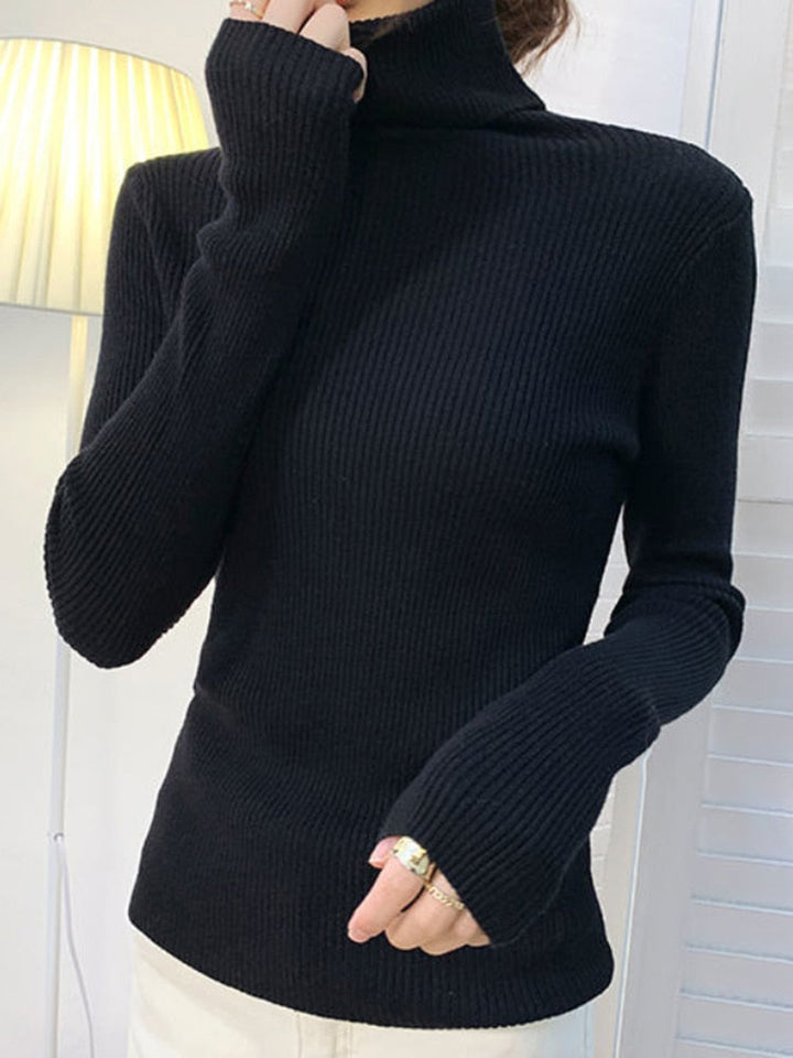 Dames trui met hoge col, gebreid voor extra warmte en een chique look in de winter.