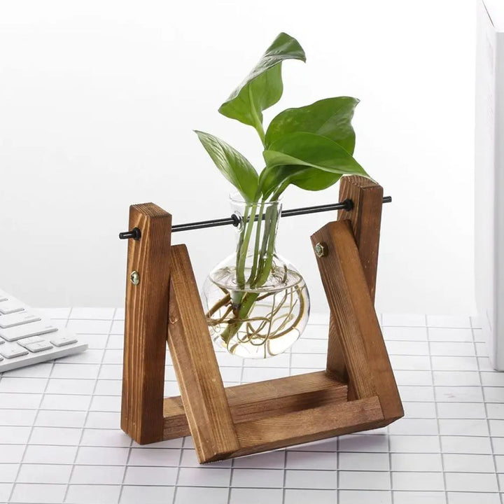 Moderne hydroponische bloempot met houten tray. Stijlvolle interieurdecoratie voor planten en groen.