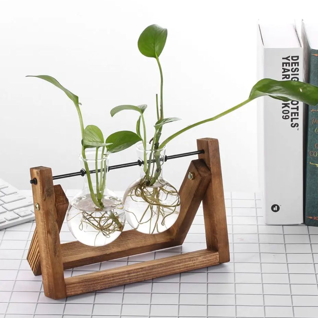 Hydroponische bloempot met houten tray, geplaatst op een bureau. Voegt een natuurlijk element toe aan werkruimtes.