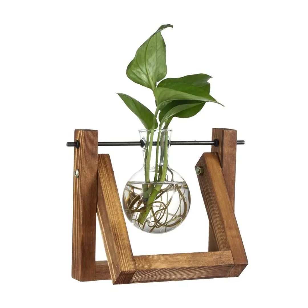 Groene decoratie: hydroponische bloempot met houten plateau. Perfect voor kleine plantjes en interieurstyling.