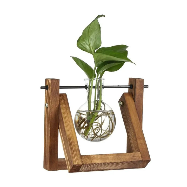 Groene decoratie: hydroponische bloempot met houten plateau. Perfect voor kleine plantjes en interieurstyling.