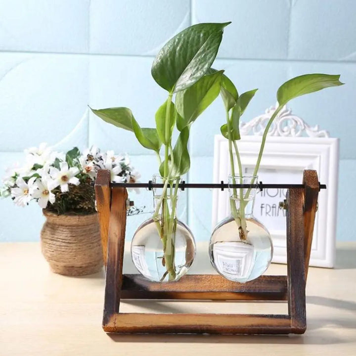 Stijlvolle hydroponische bloempot op een houten tray. Brengt design en natuur samen in uw huis of kantoor.