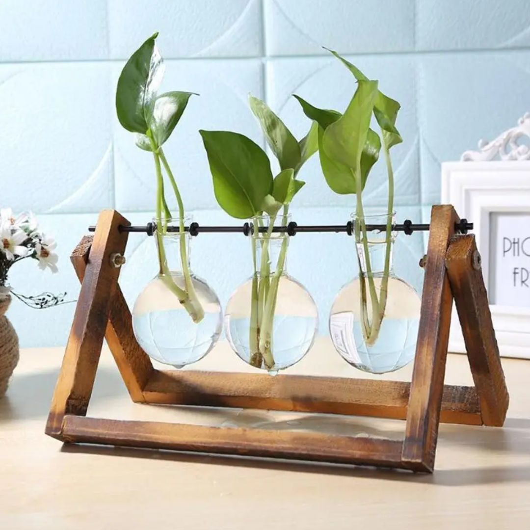 Elegante hydroponische bloempot met houten tray. Modern design voor tafeldecoratie en groene accenten.