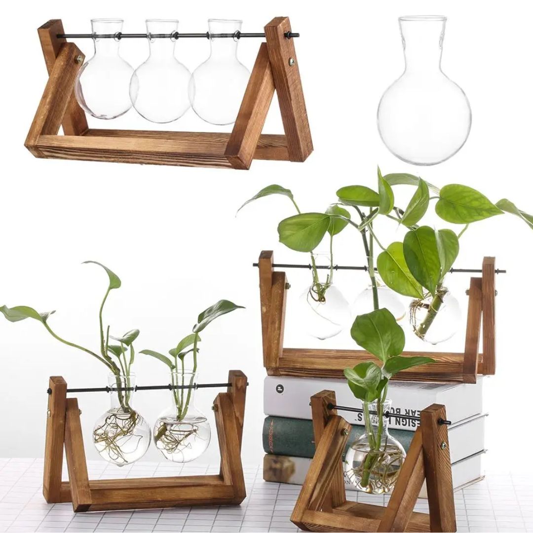 Woonaccessoire: hydroponische bloempot met natuurlijke houten tray. Verrijkt elk modern interieur met groen.