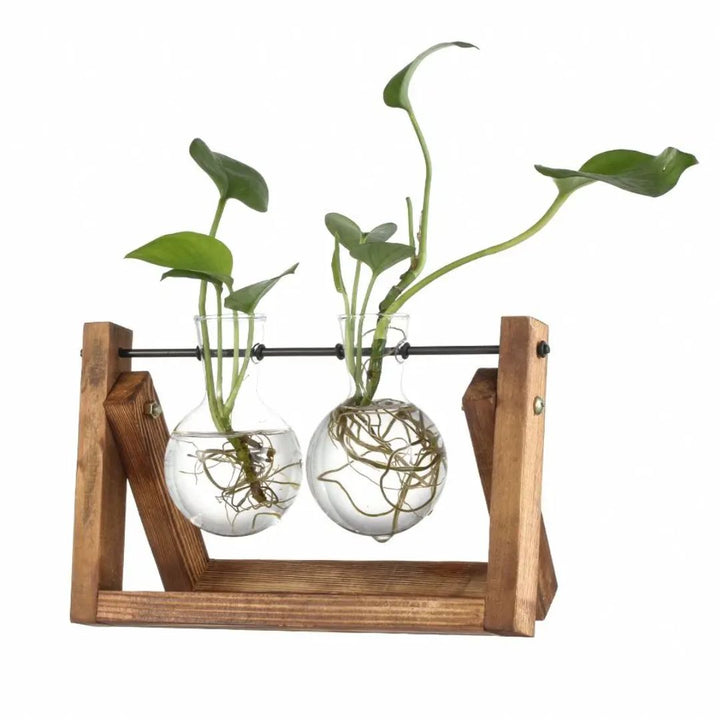 Minimalistische hydroponische bloempot met houten onderzetter. Ideaal voor het kweken van planten in water.