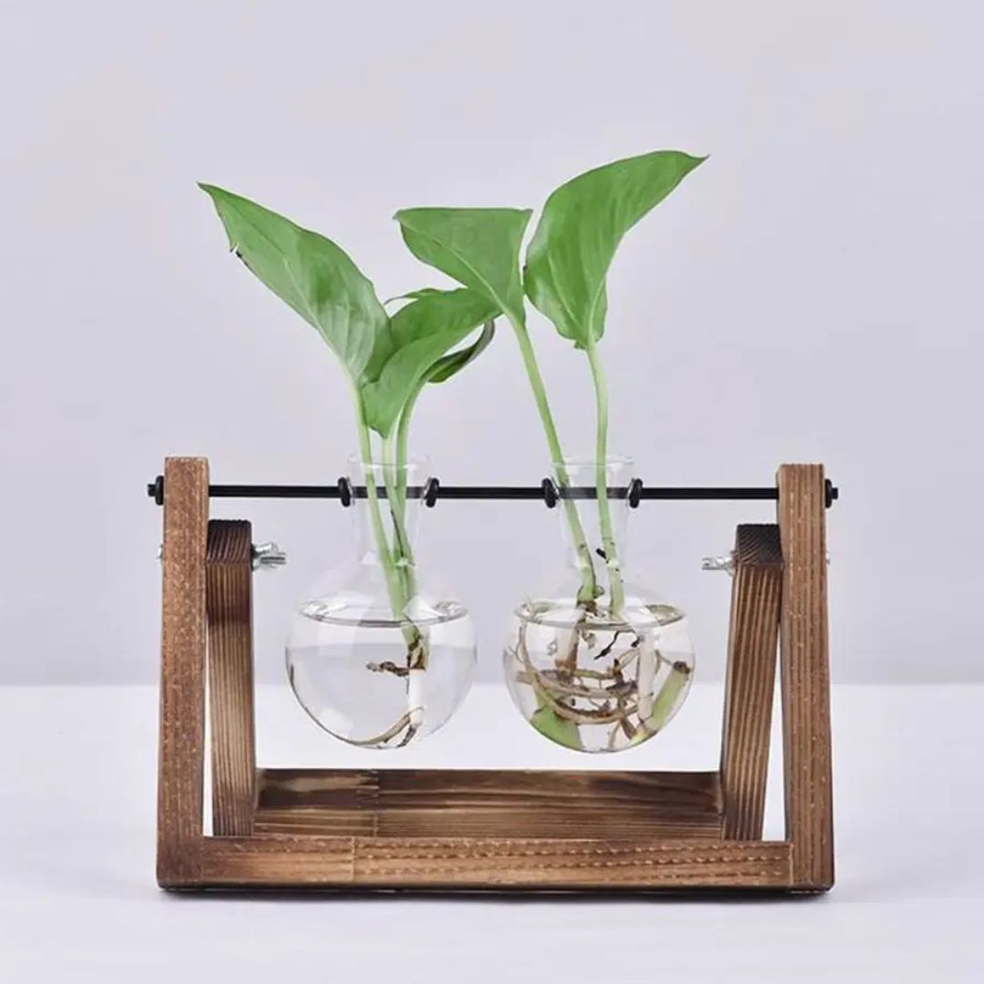 Hydroponische plantenbak met houten plateau. Perfect woonaccessoire voor watercultuur planten op kantoor.