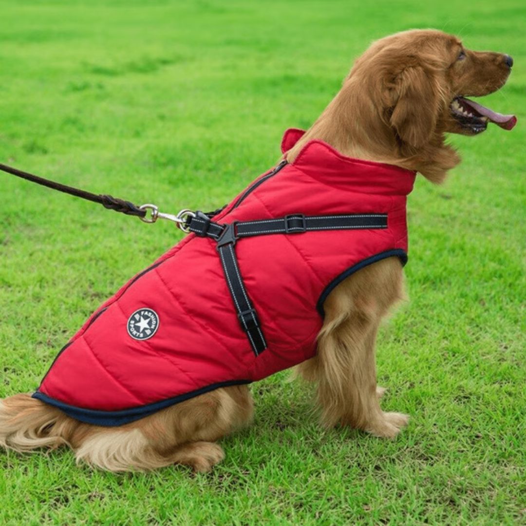 Waterdichte hondenwinterjas voor ultieme warmte en comfort. Ideaal voor koude dagen en winterse wandelingen.