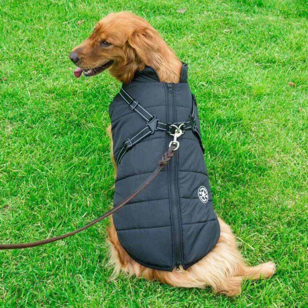 Comfortabele, waterdichte winterjas voor honden, houdt je trouwe viervoeter warm en droog. Met harnasopening.