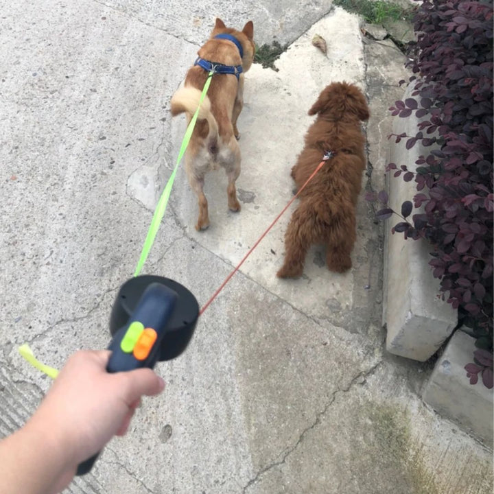 Comfortabele anti-klit dubbele hondenriem voor actieve wandelingen met twee honden, inclusief zaklamp.
