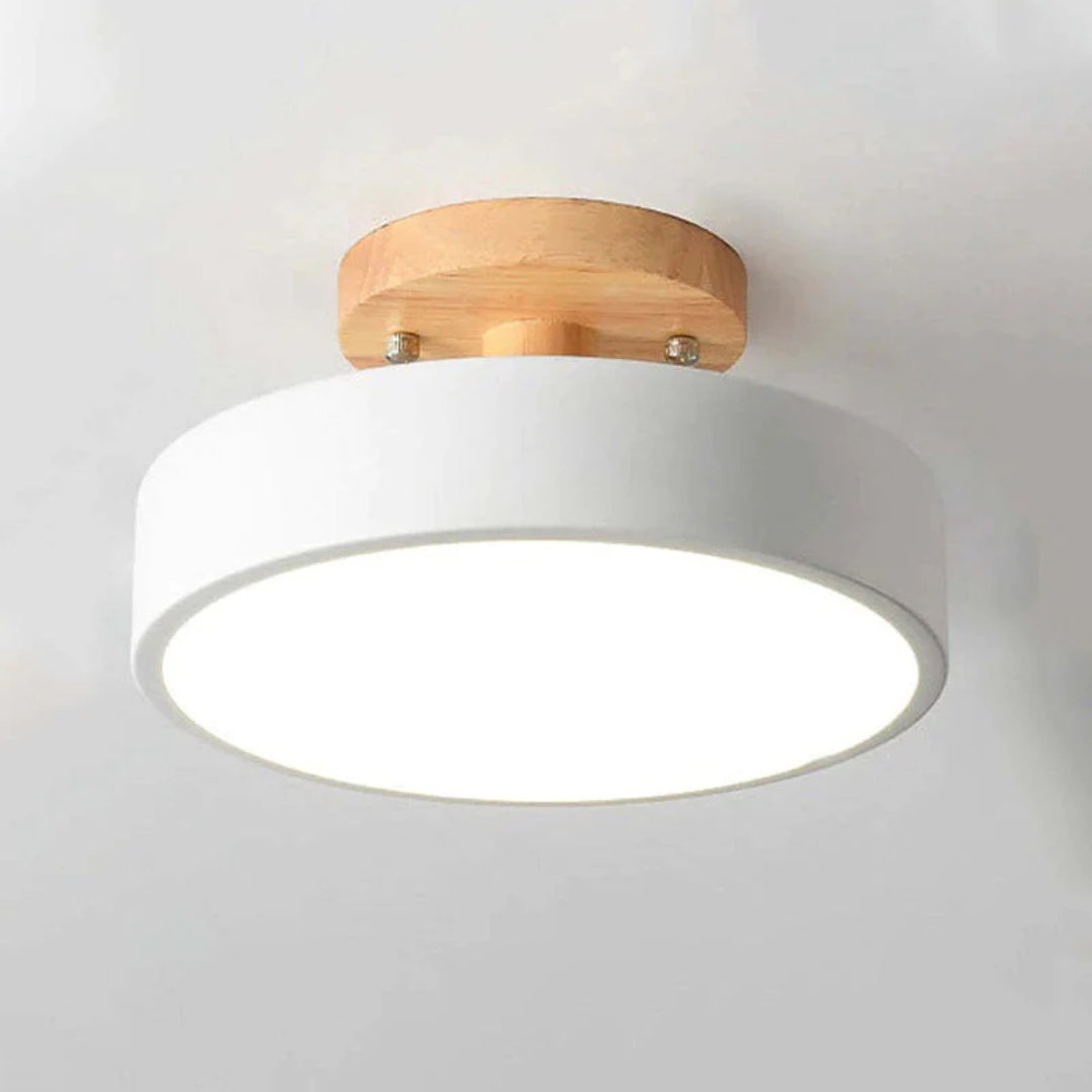 Witte ronde plafondlamp Nova met geïntegreerde LED, minimalistisch en functioneel.