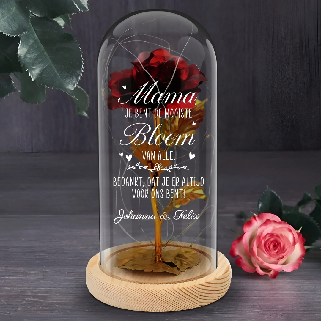 Eeuwige rode roos met LED in glazen koepel. Romantisch geschenk, sfeerlicht voor huisdecoratie.