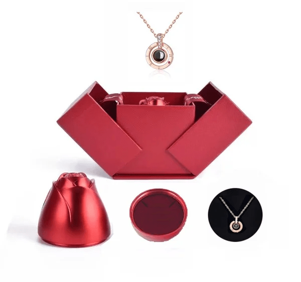 Cadeauverpakking met 'Ik hou van jou in 100 Talen' ketting. Het perfecte geschenk om liefde te tonen aan haar.