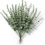 Lavendel