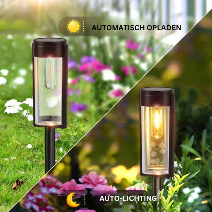 Waterdichte LumiPath padverlichting met zonne-energie, ideaal voor veilige en stijlvolle verlichting langs je tuinpad.