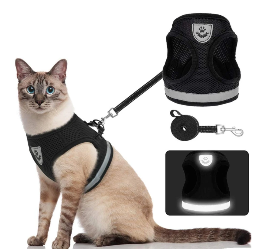 AdventureKit kattentuigje met lijn, uitbraakvrij en reflecterend voor veilige nachtwandelingen.