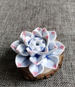 A - Wit Blauw Roze